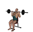 Shoulder Press - Bradford Rocky